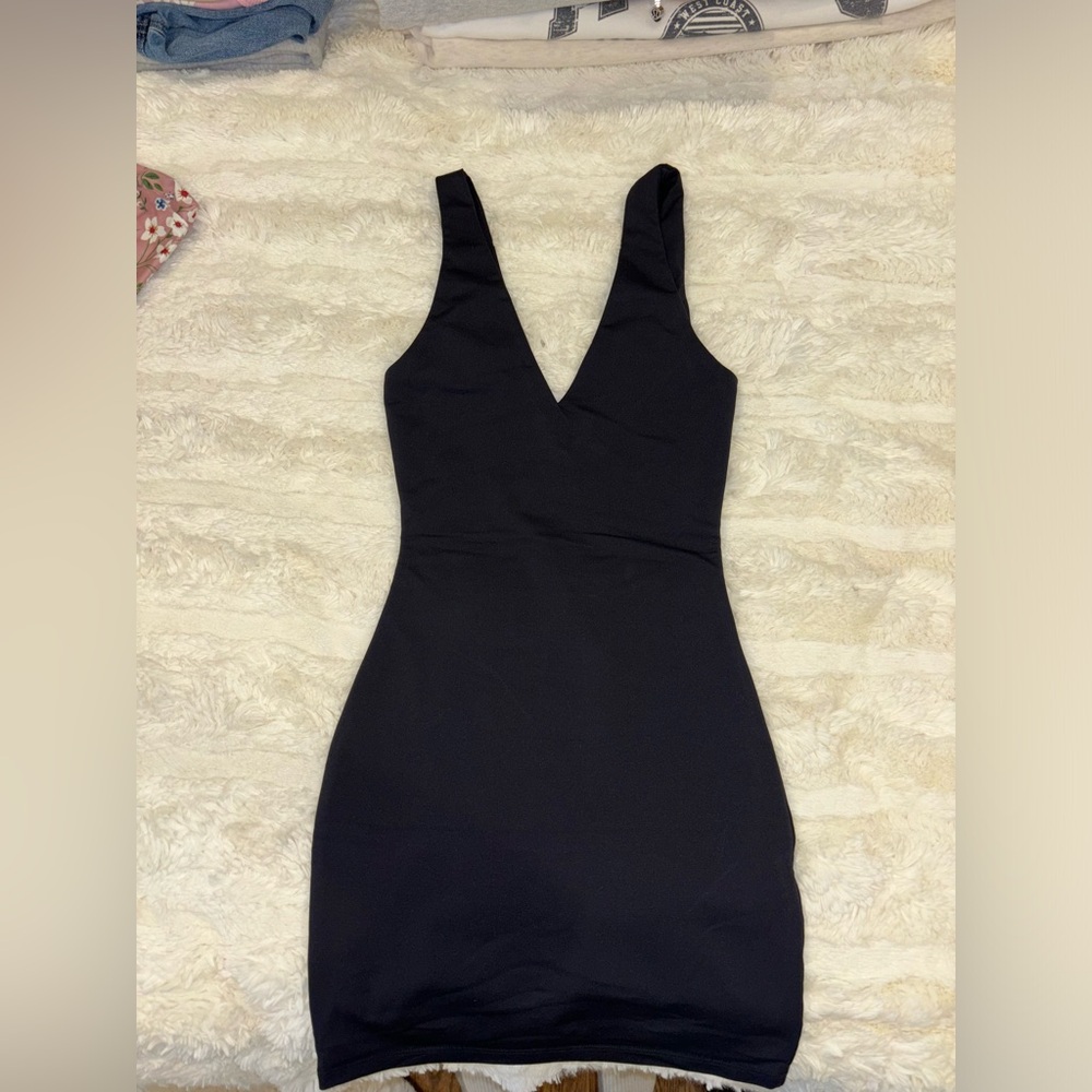 Aritzia Dress